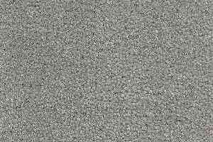 Ковролин Radici Admiral ice 212 фото  | FLOORDEALER